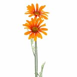 Kunstbloem Madeliefje 56 cm Oranje/Zijde