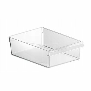 Rotho LOFT Koelkast Organizer 5L 19.8x9x28.4 cm Transparant