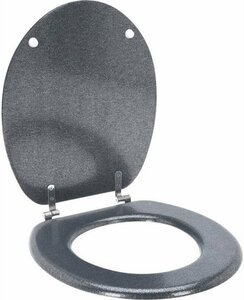 Bathroom Solutions Toiletbril 45x37.5 cm Zilver/MDF