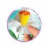 Clementoni Idea Geurende Bloemen Maken Narcissen_