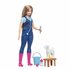 Barbie 65th Anniversary Carrière Pop Assorti_