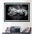 Clementoni High Quality Collection Puzzel Kitten 1000 Stukjes + Poster_
