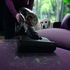 AEG 9009233884 Aze155 Pet Pro+ Mondstuk_