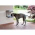 Bama Pet Hondenvoederbak 48x27x42 cm Taupe_