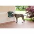 Bama Pet Hondenvoederbak 48x27x42 cm Groen_