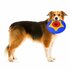Bama Pet Trotto Disk Hondenspeelgoed 24.5x4.5 cm Blauw/Geel/Rood_