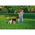 Bama Pet Trotto Disk Hondenspeelgoed 24.5x4.5 cm Blauw/Geel/Rood_