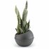 Bama Sfera Bloempot 23L 40.5x32 cm Antraciet_