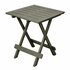 Pro Garden Campingtafel 50x43x43 Saliegroen/Kunststof_
