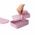 Brabantia Make & Take Lunchbox 2L Roze_