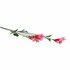 Kunstbloem Campanula 60 cm Licht Roze/Zijde_