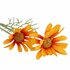 Kunstbloem Madeliefje 56 cm Oranje/Zijde_