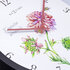 NeXtime NE-4317 Buitenklok Knautia 30.5 cm Zwart/Wit_