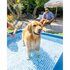 Intex 48402GN Frame Honden Zwembad 150x150x30 cm Blauw_