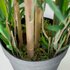 Home & Styling Kunstplant Bamboe 90 cm Groen_