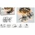 Cluster LED-Verlichting 2016 LED's 2180 cm Warm Wit Zwart_